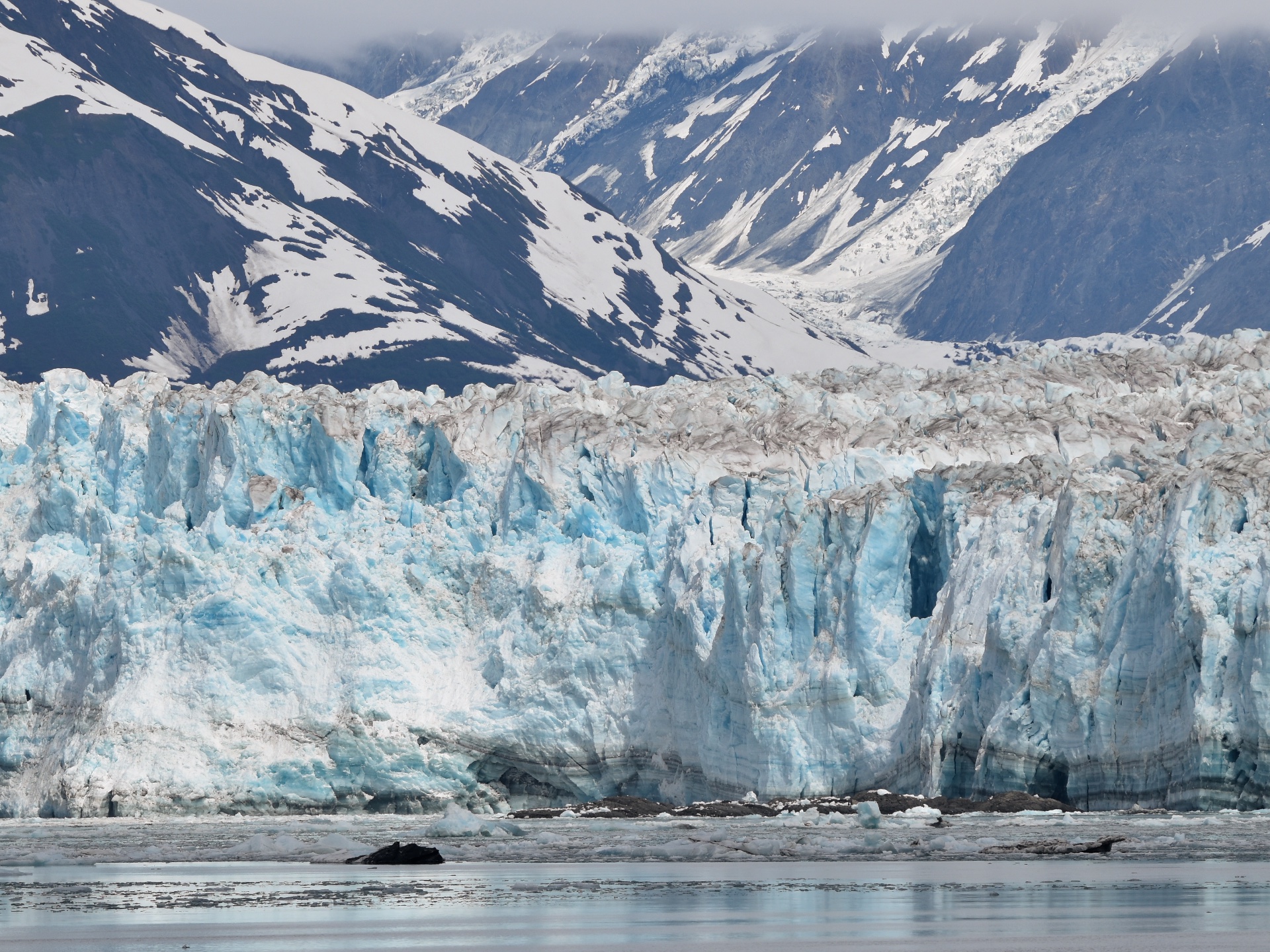 Brains on Cheese can ensure your key initiatives get successfully executed and fill gaps. 