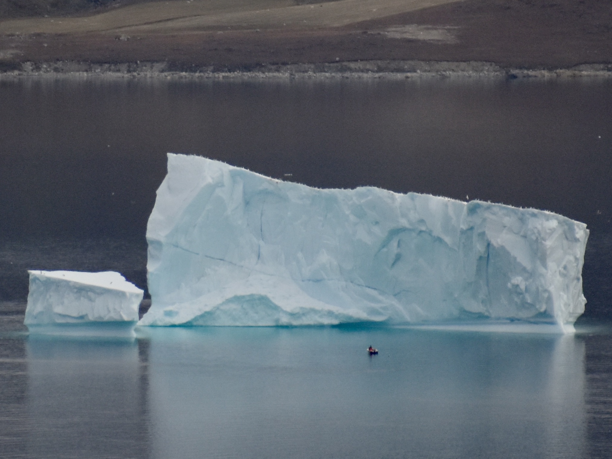 Brains on Cheese can implement the process, analysis, and measurement to drive optimal performance.