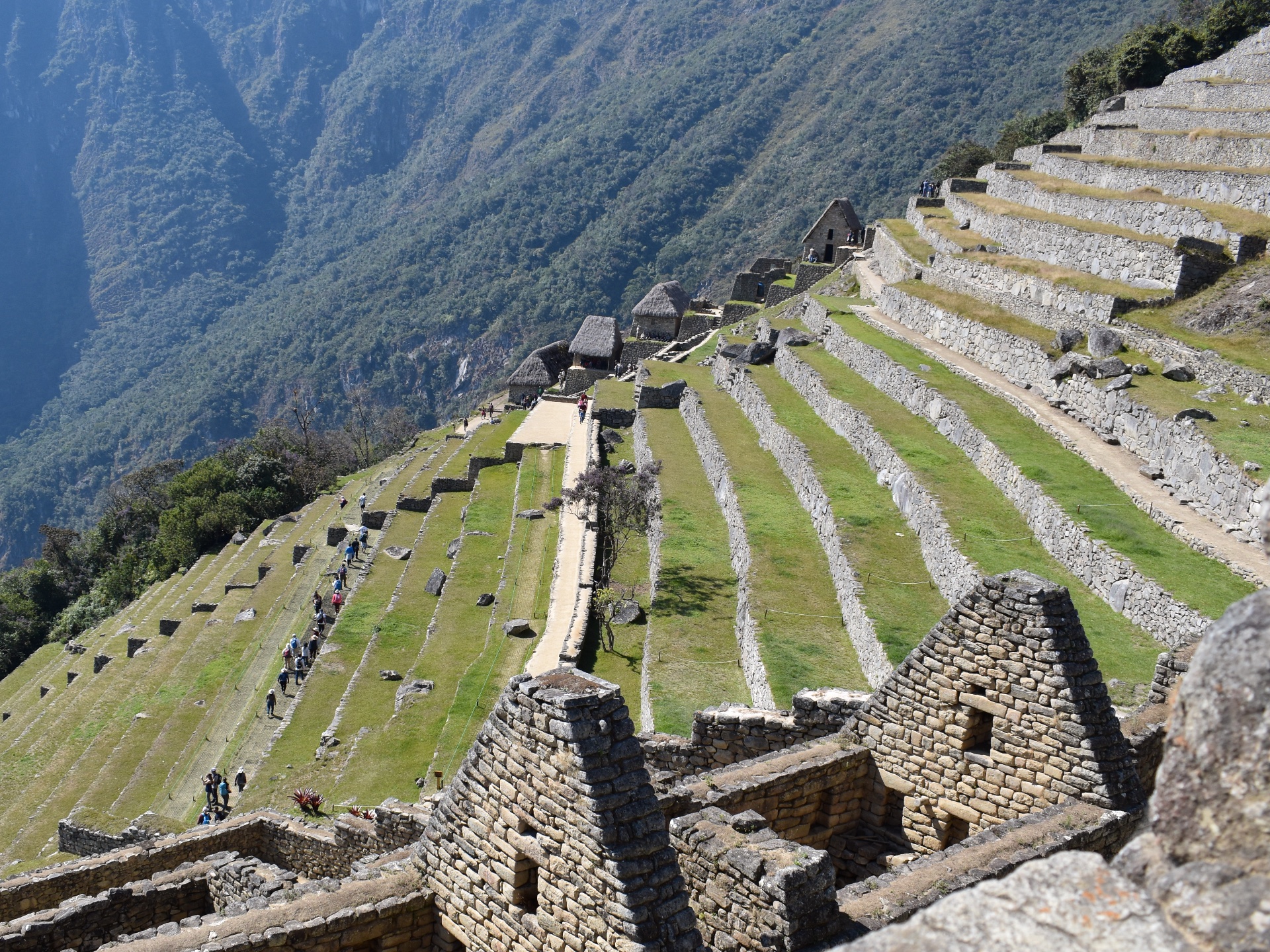 Brains on Cheese can resolve potential bottlenecks in your teams' delivery lifecycle.